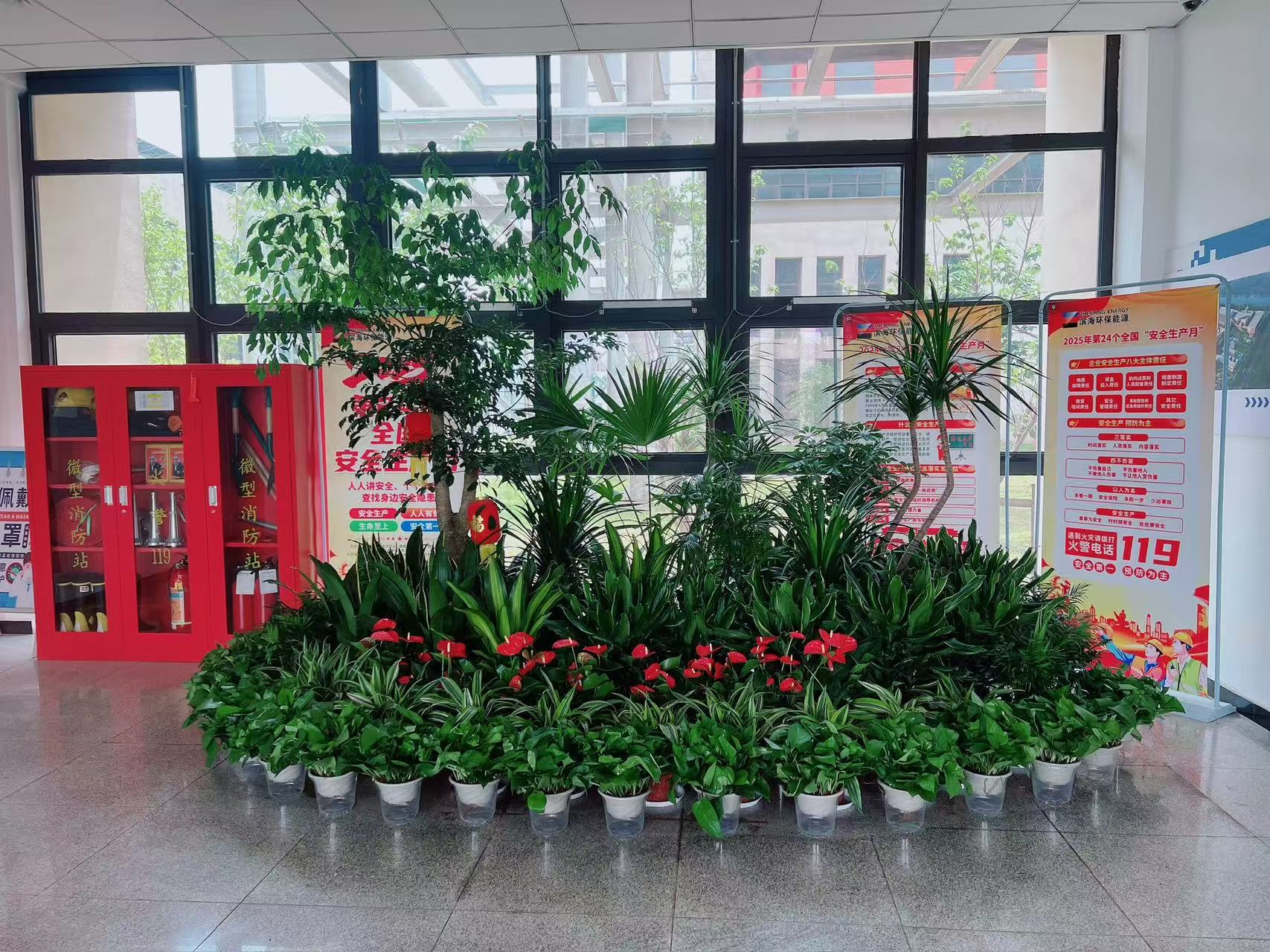 宁波前湾花卉出租设计 宁波前湾花卉出租设计